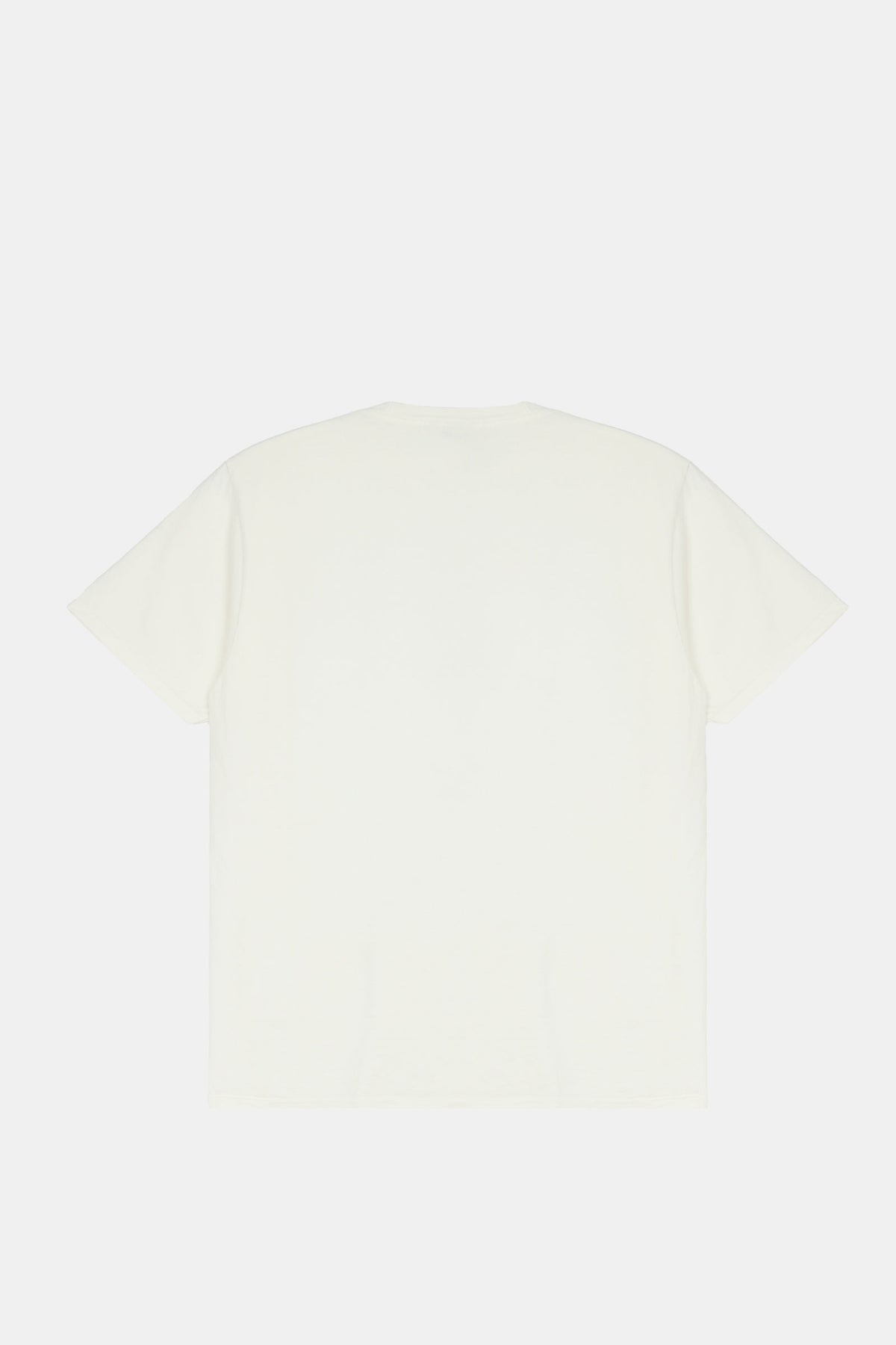 Authentic Gear Pig. Dyed Tee