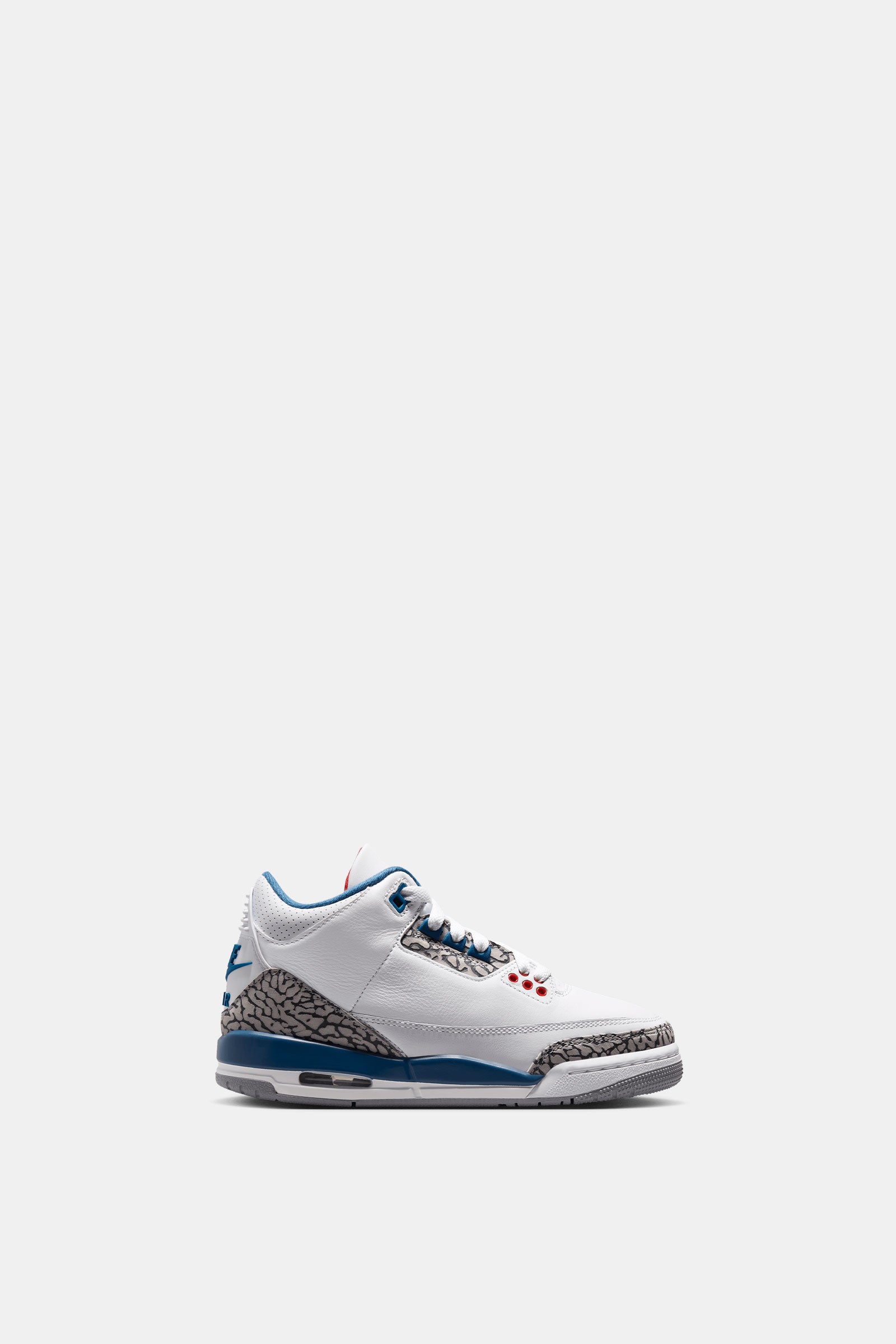 Air Jordan 3 Retro 