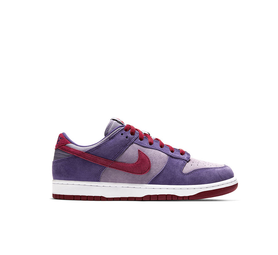 Nike Dunk Low Special Edition