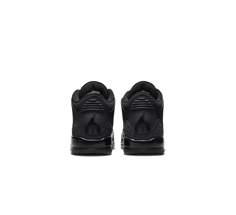 Air Jordan 3 Retro (GS)