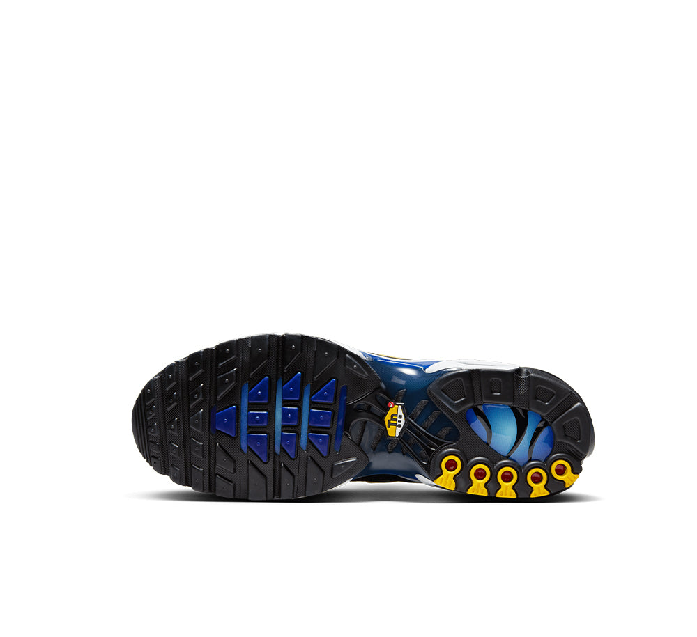 Nike Air Max Plus OG