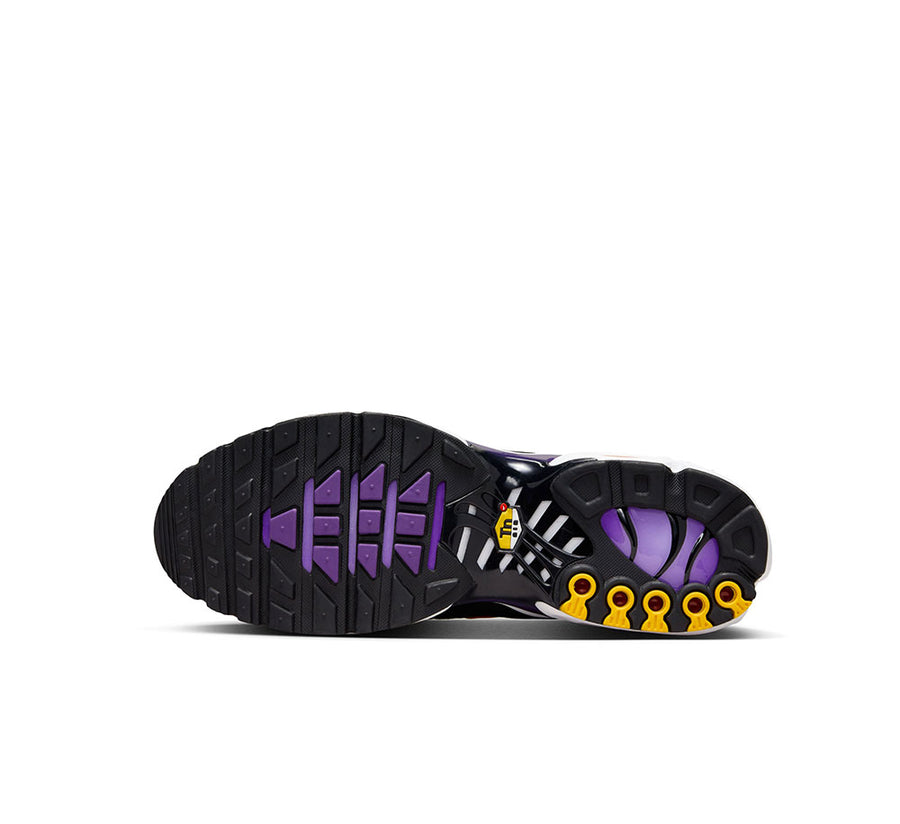 NIKE AIR MAX PLUS OG