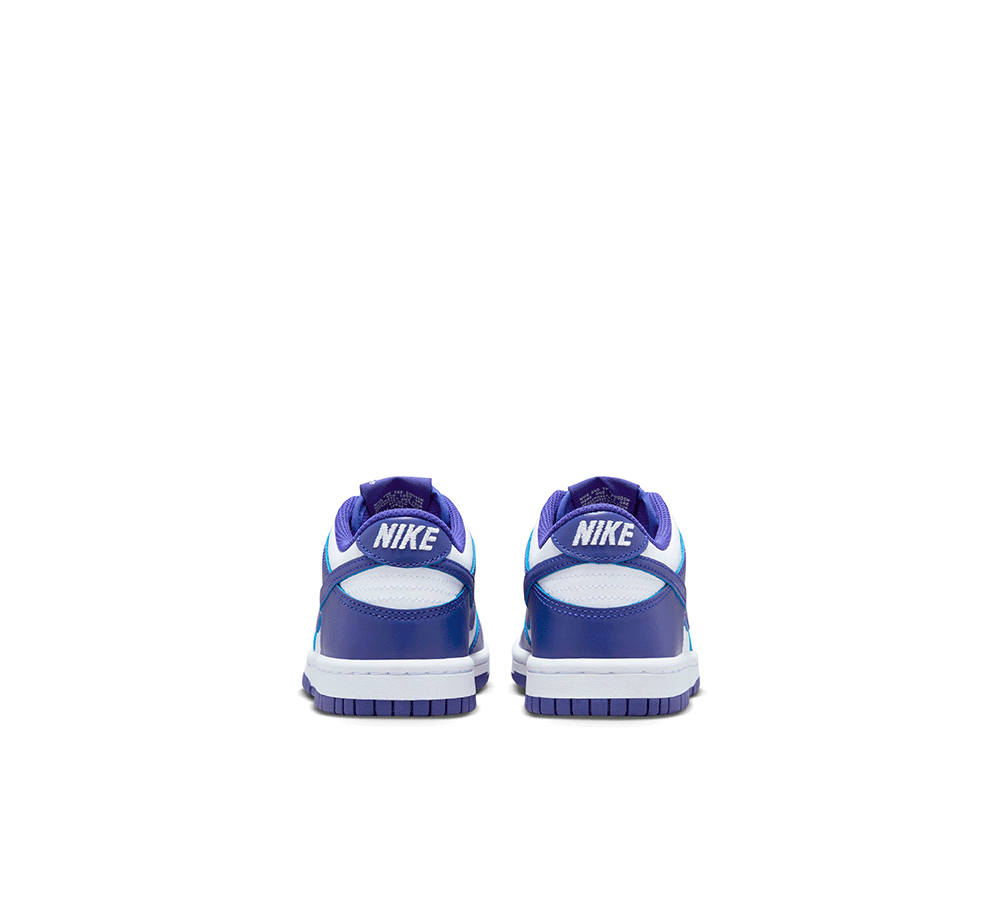 Nike Dunk Low (GS)