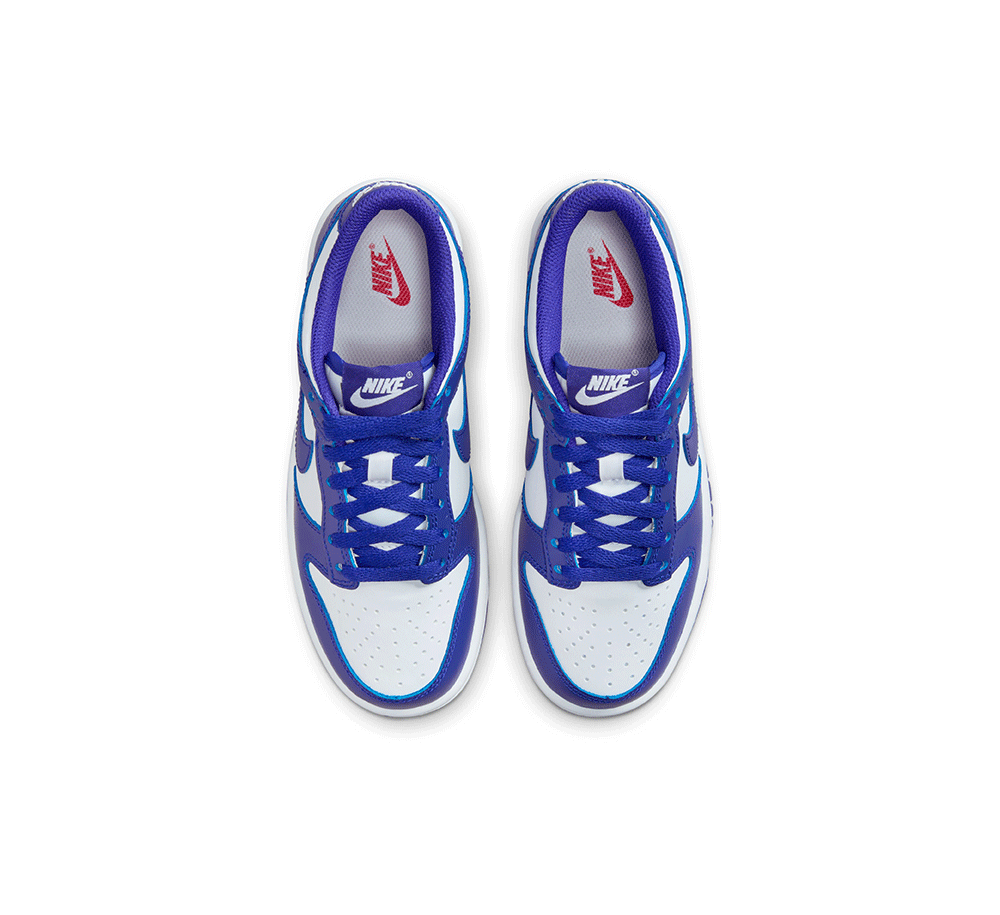 Nike Dunk Low (GS)