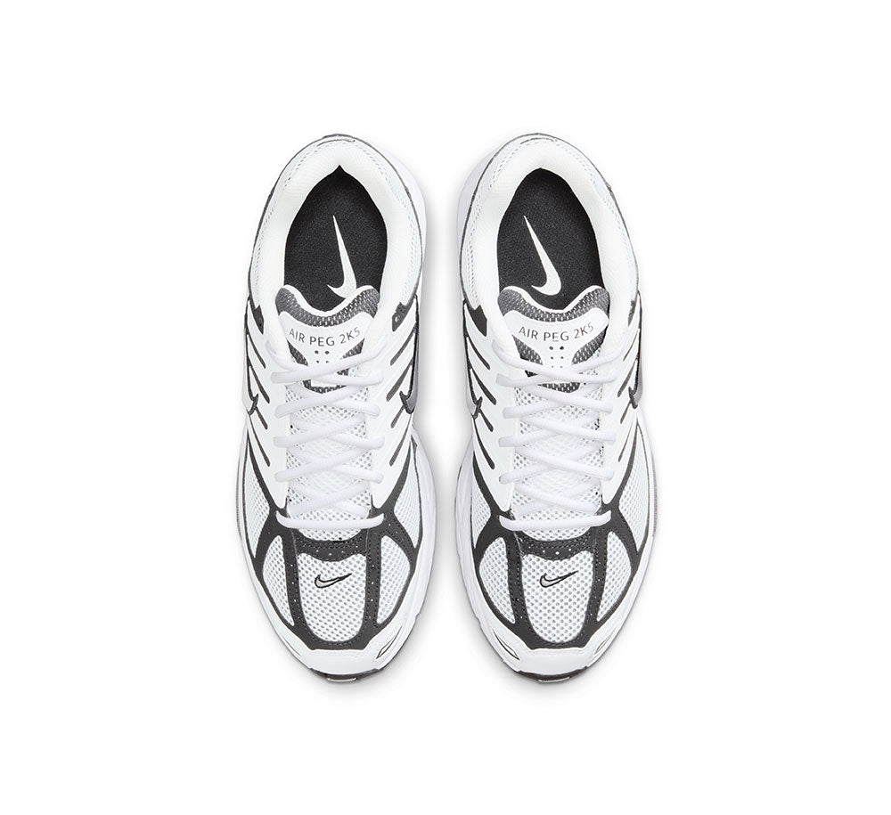 Nike Air Pegasus 2K5