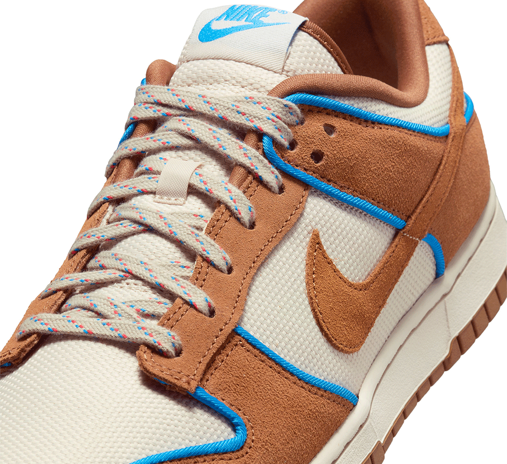Nike Dunk Low Retro Premium