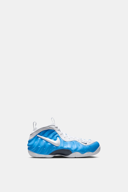 Nike Air Foamposite Pro