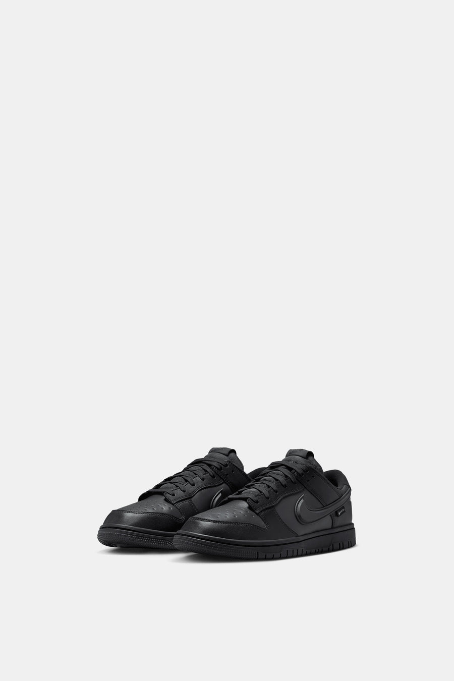 Nike Dunk Low GORE-TEX