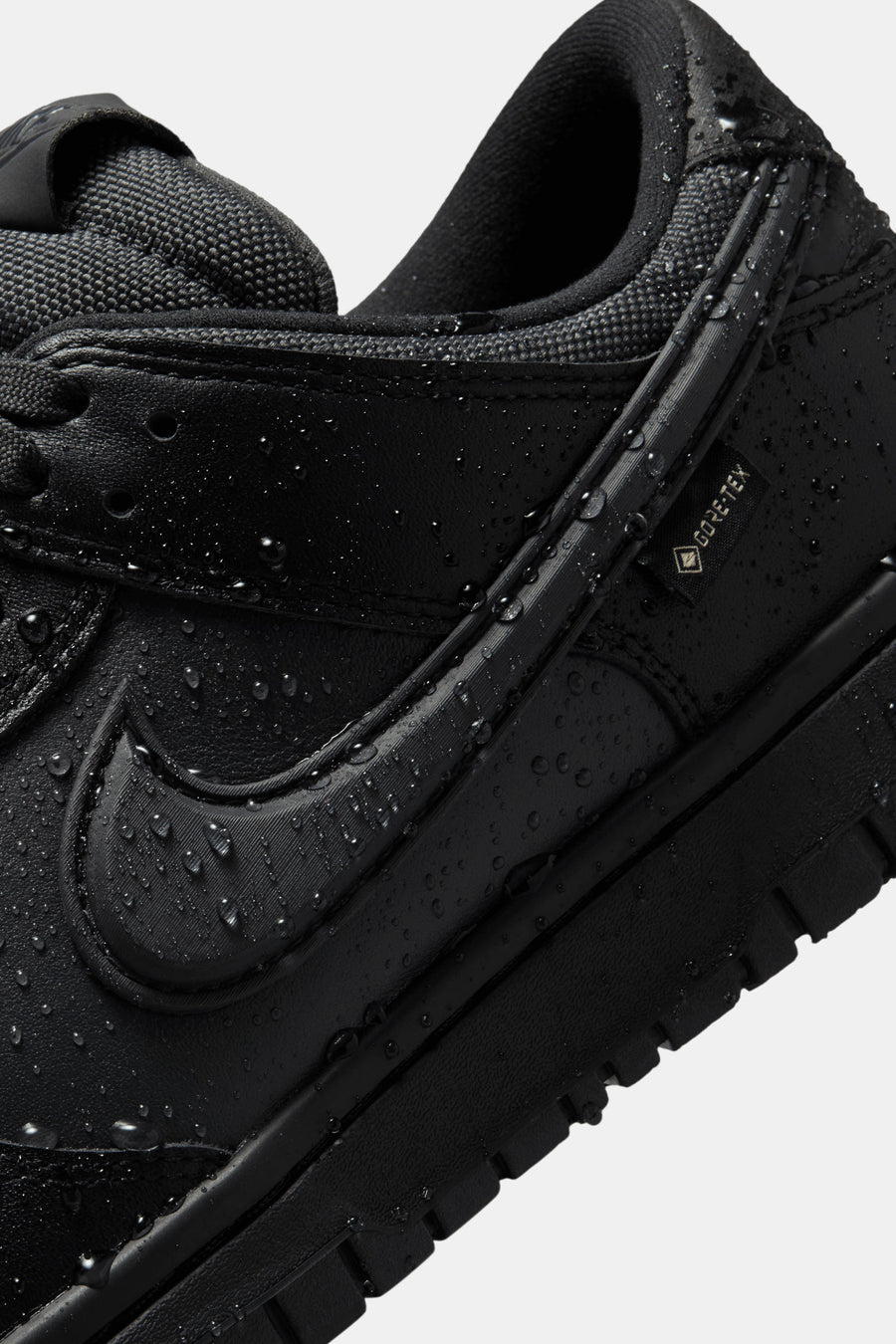 Nike Dunk Low GORE-TEX