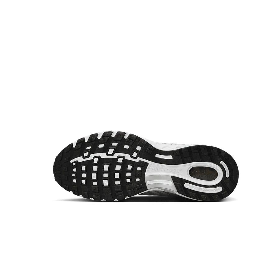 Nike Air Pegasus 2005