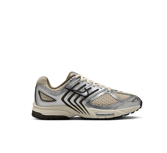 Nike Air Pegasus 2005