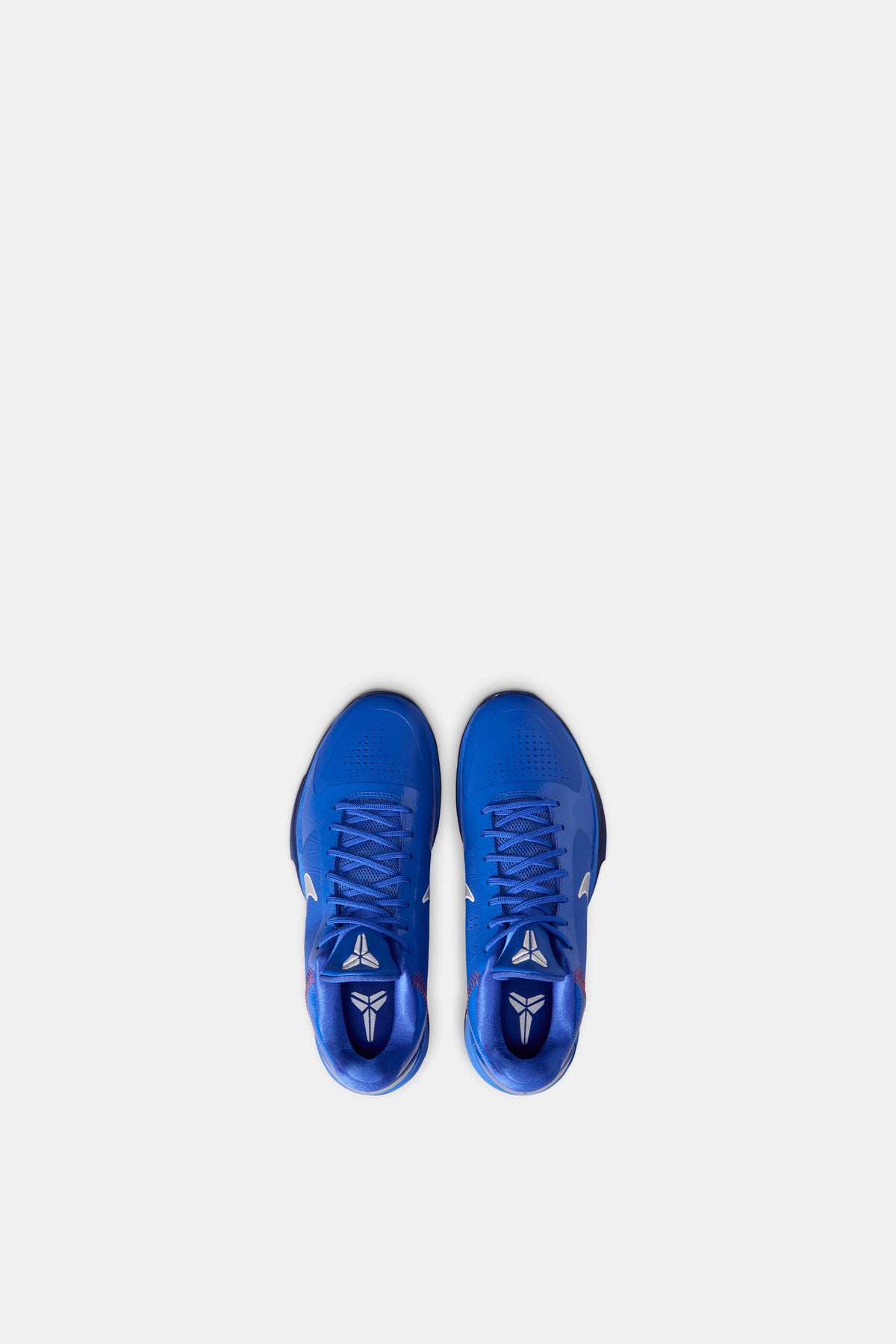 Kobe V Protro "Hyper Royal"