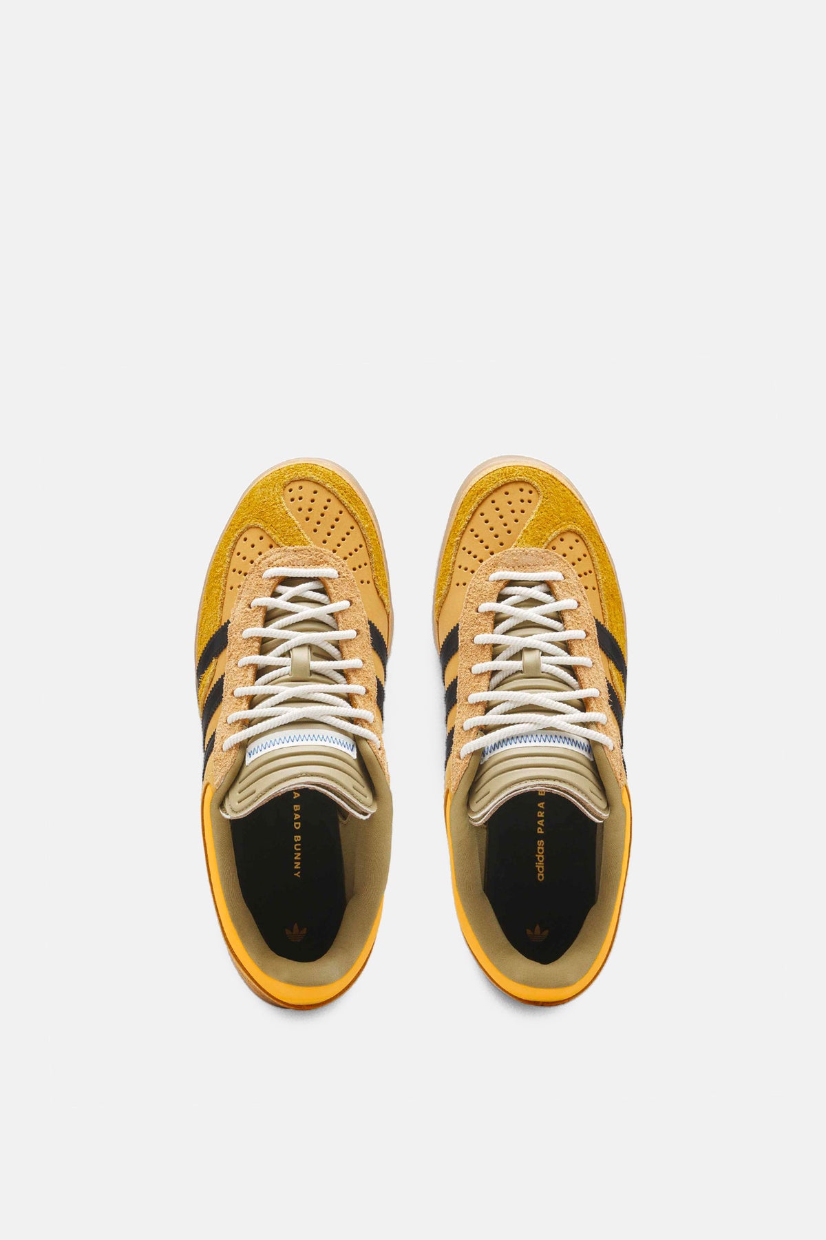 Bad Bunny Gazelle Indoor