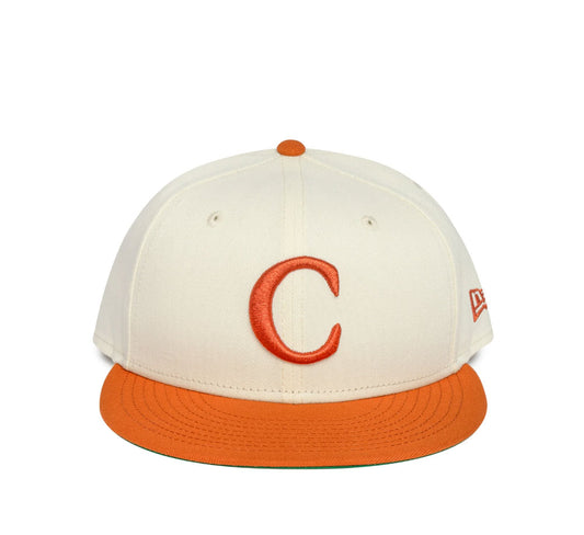 TOP SOIL NEW ERA HAT