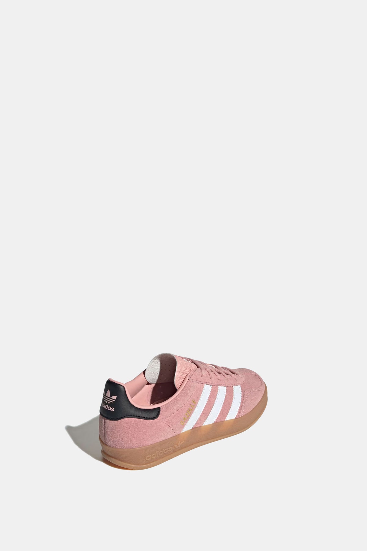 Gazelle Indoor (GS)