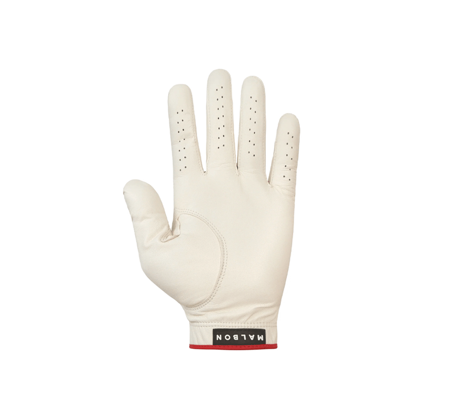 IRIS Glove