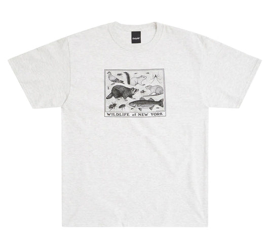 WILDLIFE OF NEW YORK TEE