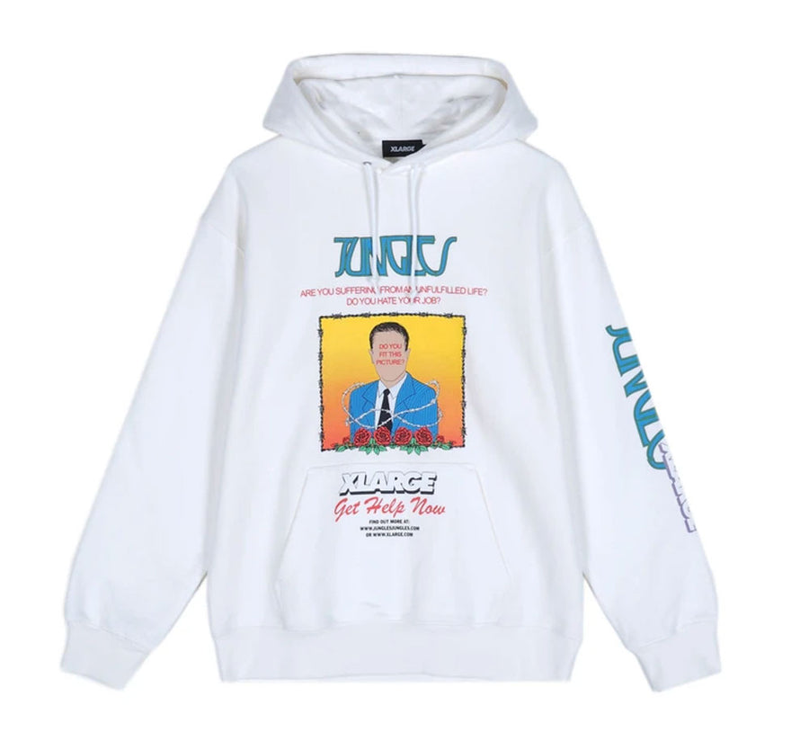 DO YOU FIT THIS PICTURE PULLOVER HOODED SWEAT